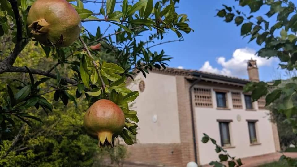 La Fonte Di Montebuono Villa Magione Exterior photo